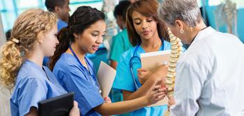 Doctors Analyzing a Test Spinal Column