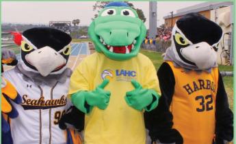 Three School Mascots