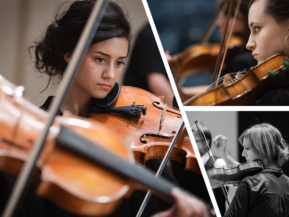 Violinist Images Collage