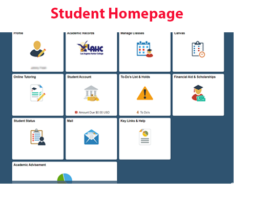 Screenshot of the Student Home Page