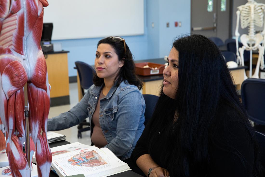 Two Students in Anatomy Class