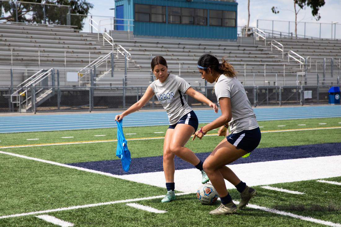 Soccer Team Playing