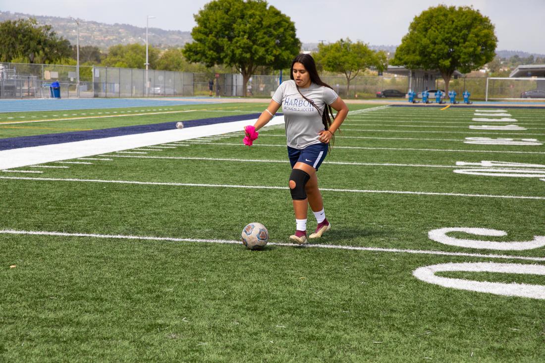 LAHC Soccer Team