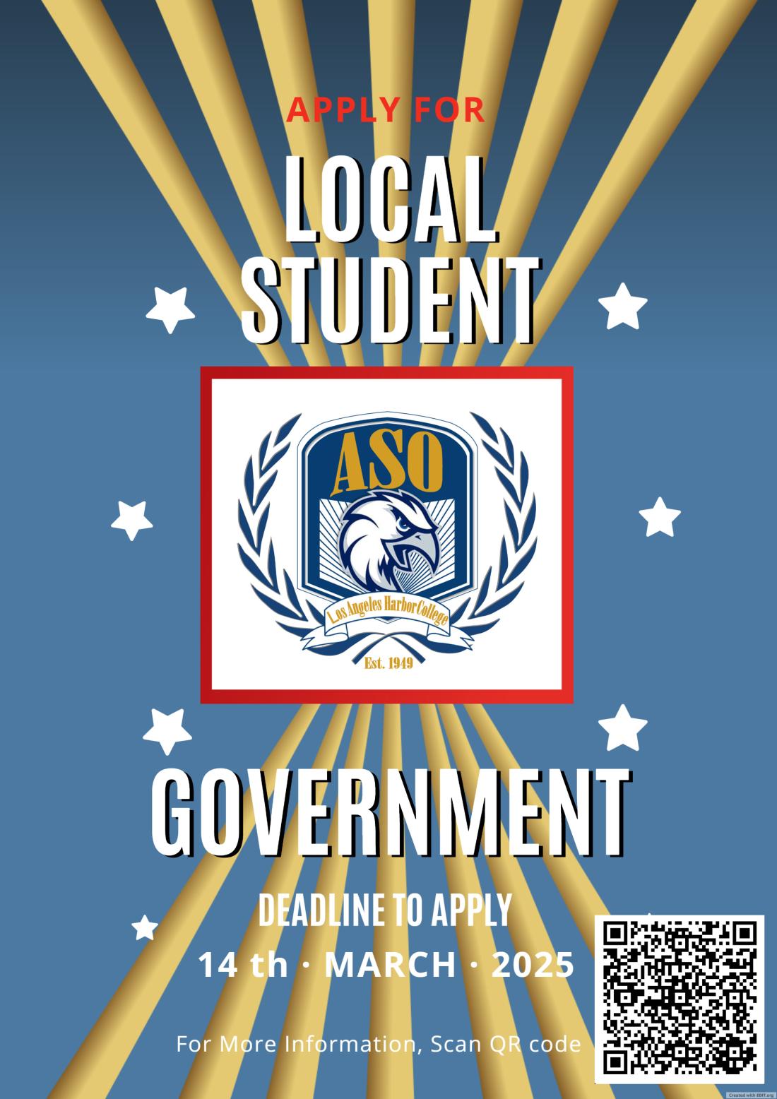 Flyer for Spring 2025 Local Elections